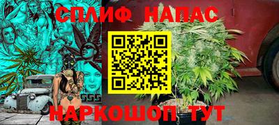 гидропоника Абакан