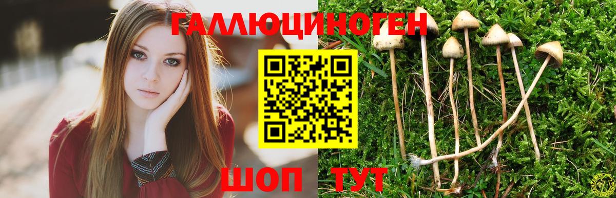 Галлюциногенные грибы мухоморы Россия