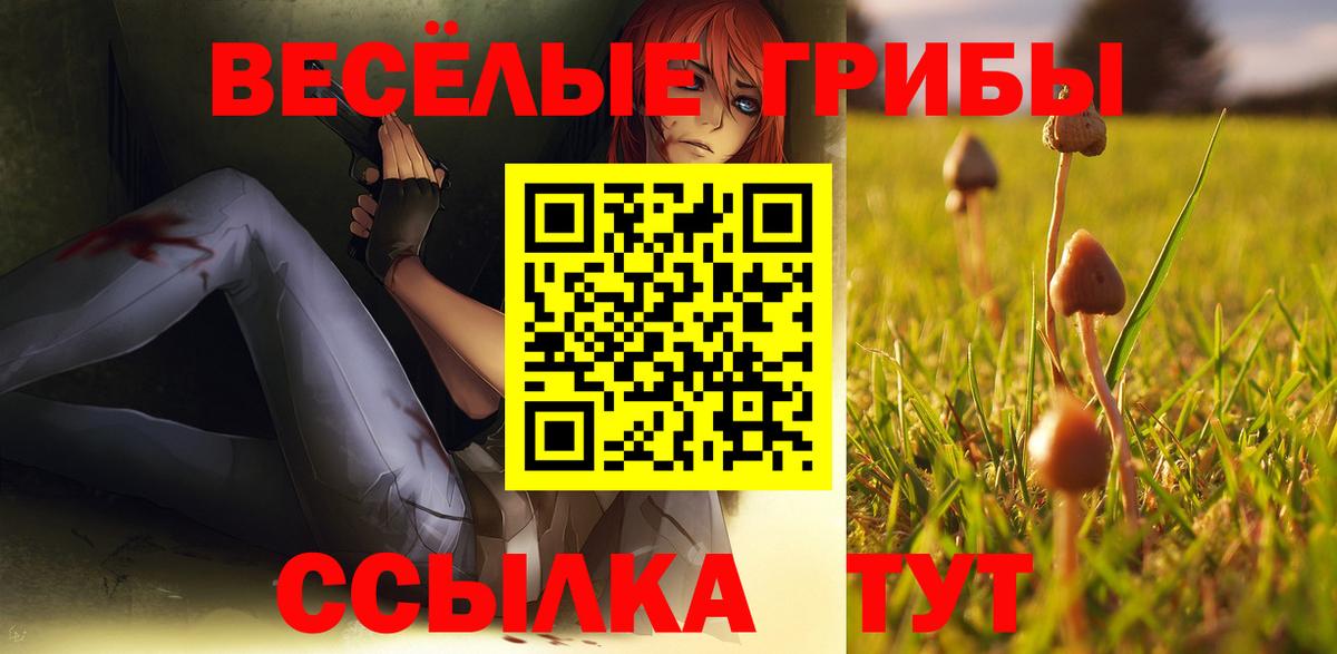 Галлюциногенные грибы Psilocybine cubensis  Галлюциногенные грибы прущие грибы  Россия  Вход с VPN 
